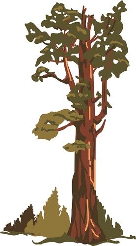 General Sherman Tree Alter - KibrisPDR