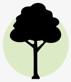 Detail Tree Favicon Nomer 8