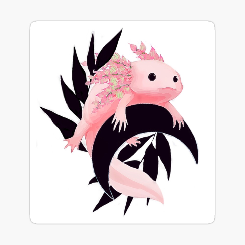 Axolotl Gemalt - KibrisPDR