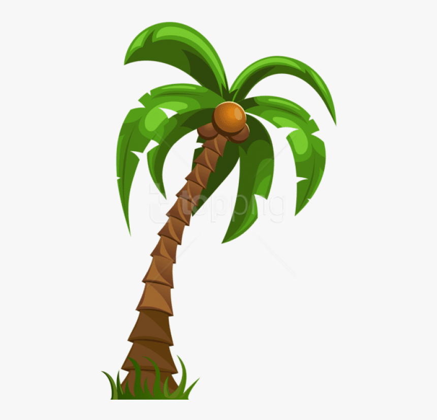 Detail Coconut Tree Png Nomer 10