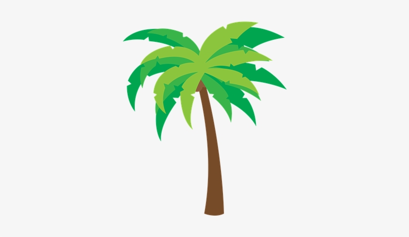 Detail Coconut Tree Png Nomer 11