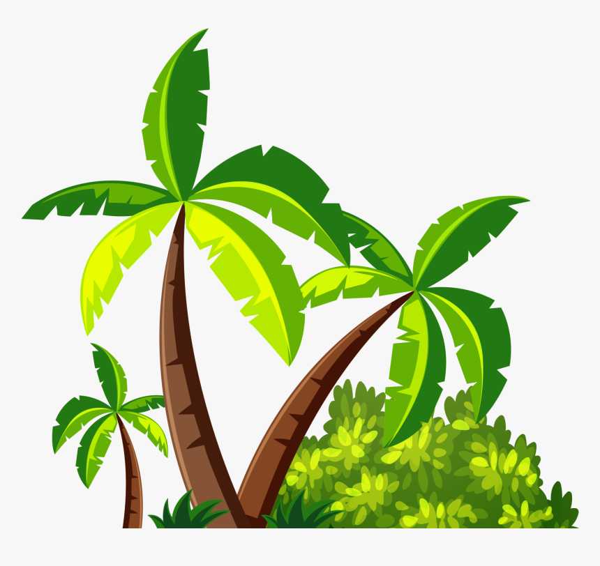 Detail Coconut Tree Png Nomer 22