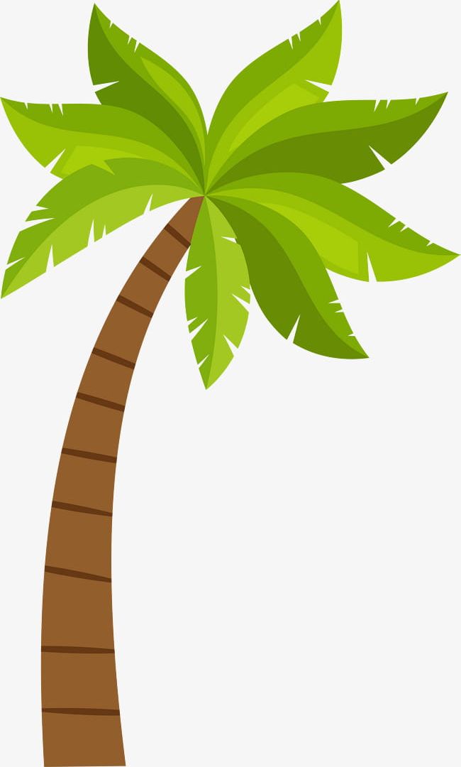 Detail Coconut Tree Png Nomer 5