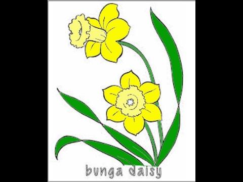 Detail Gambar Bunga Aster Lukisan Nomer 33