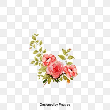 Detail Gambar Bunga Background Transparan Nomer 5