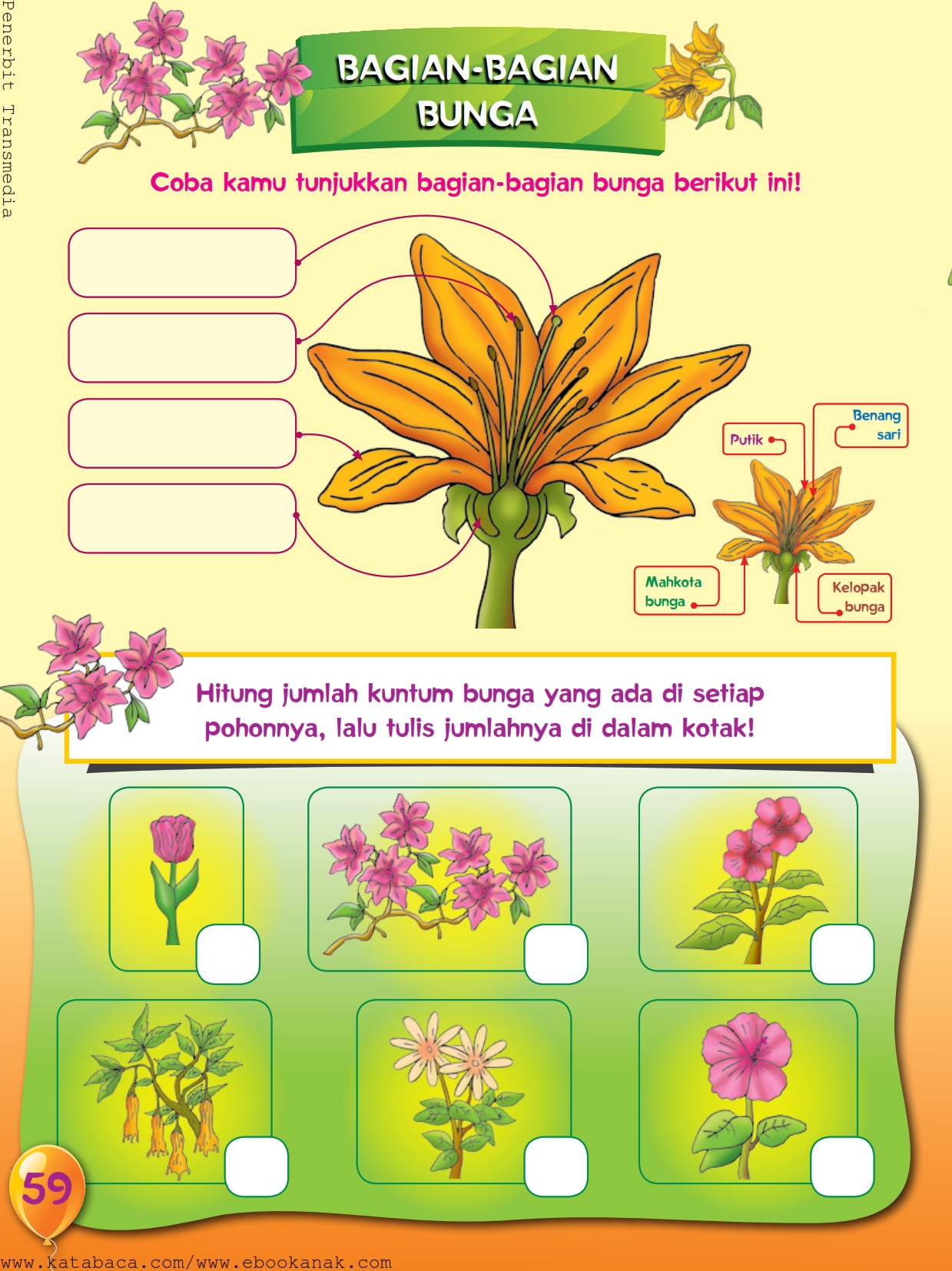 Detail Gambar Bunga Bagian Bunga Nomer 53