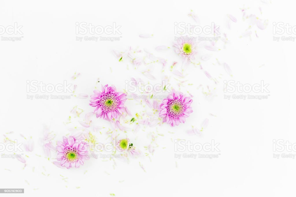 Detail Gambar Bunga Baground Putih Nomer 39