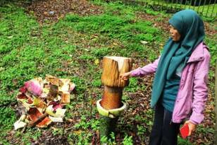 Detail Gambar Bunga Bangkai Di Kebun Raya Bogor Nomer 28