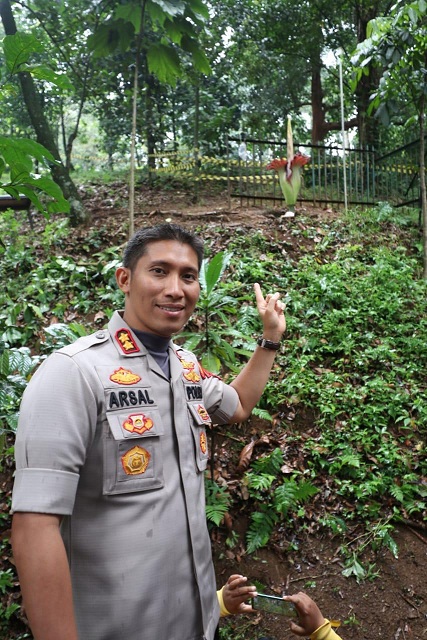 Detail Gambar Bunga Bangkai Di Kebun Raya Bogor Nomer 32