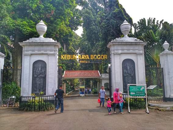 Detail Gambar Bunga Bangkai Di Kebun Raya Bogor Nomer 40