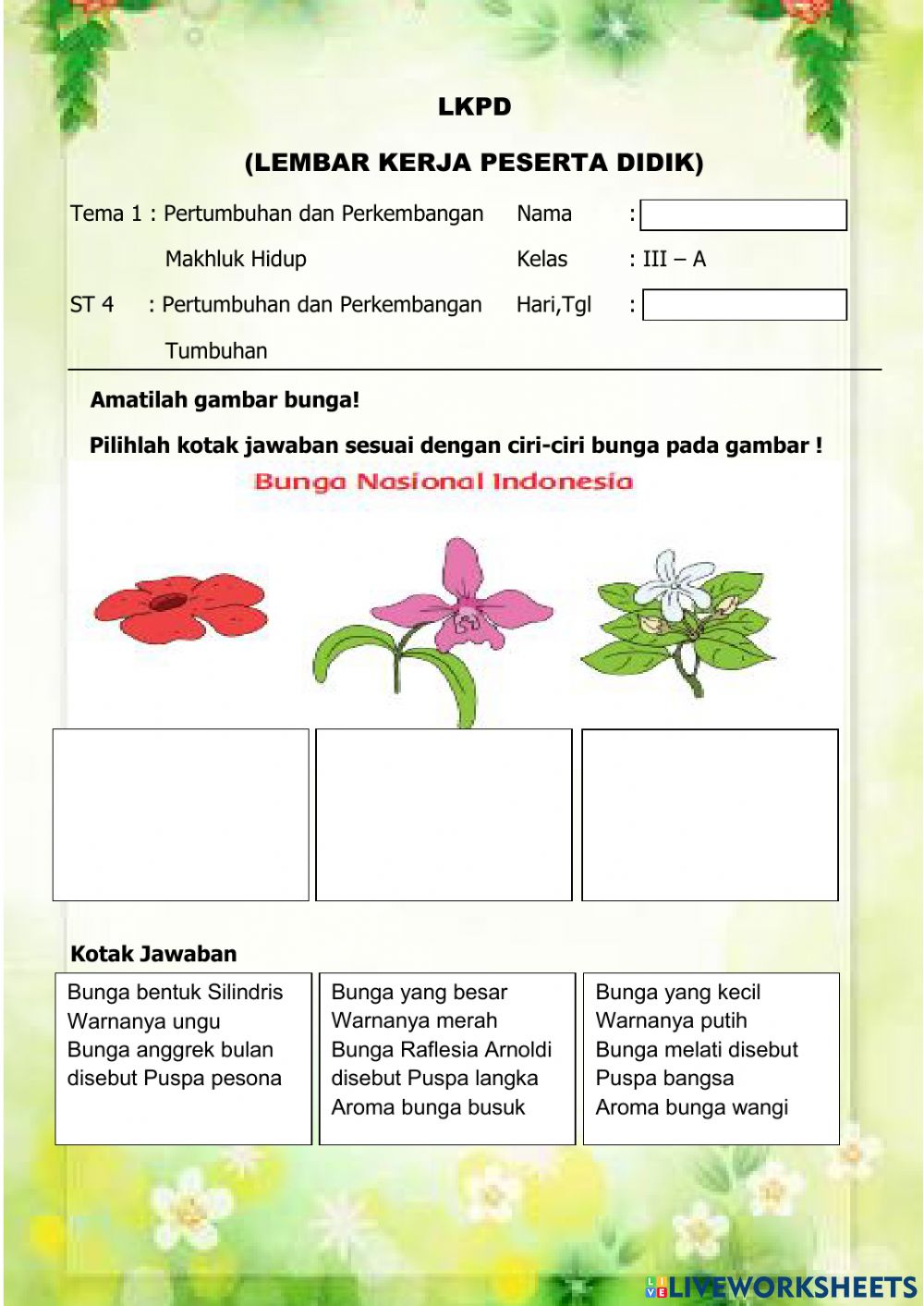 Detail Gambar Bunga Bangkai Pensil Nomer 50