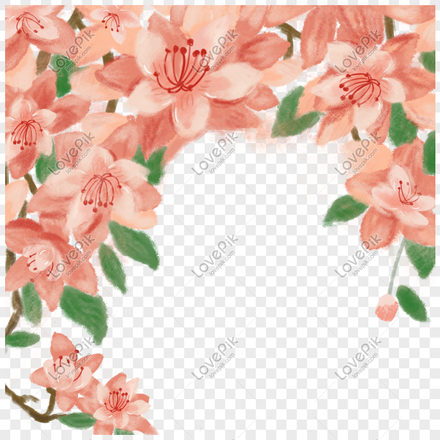 Detail Gambar Bunga Banyak Background Abstrak Peach Png Nomer 15