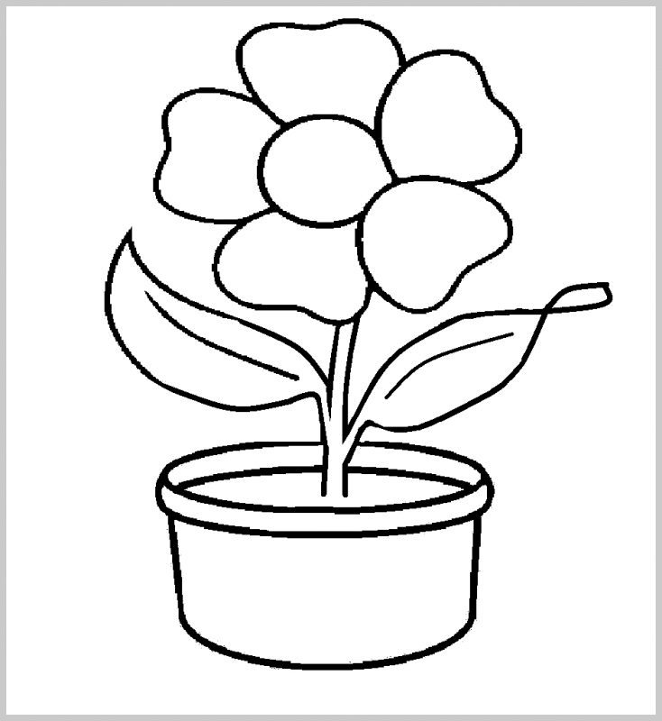 Detail Gambar Bunga Beserta Pot Nomer 8