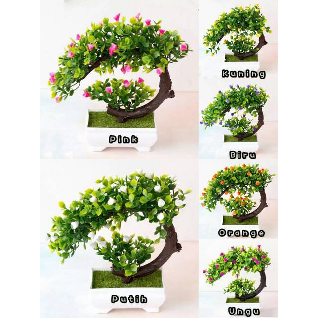 Detail Gambar Bunga Bonsai Nomer 29