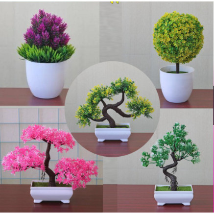 Detail Gambar Bunga Bonsai Nomer 50