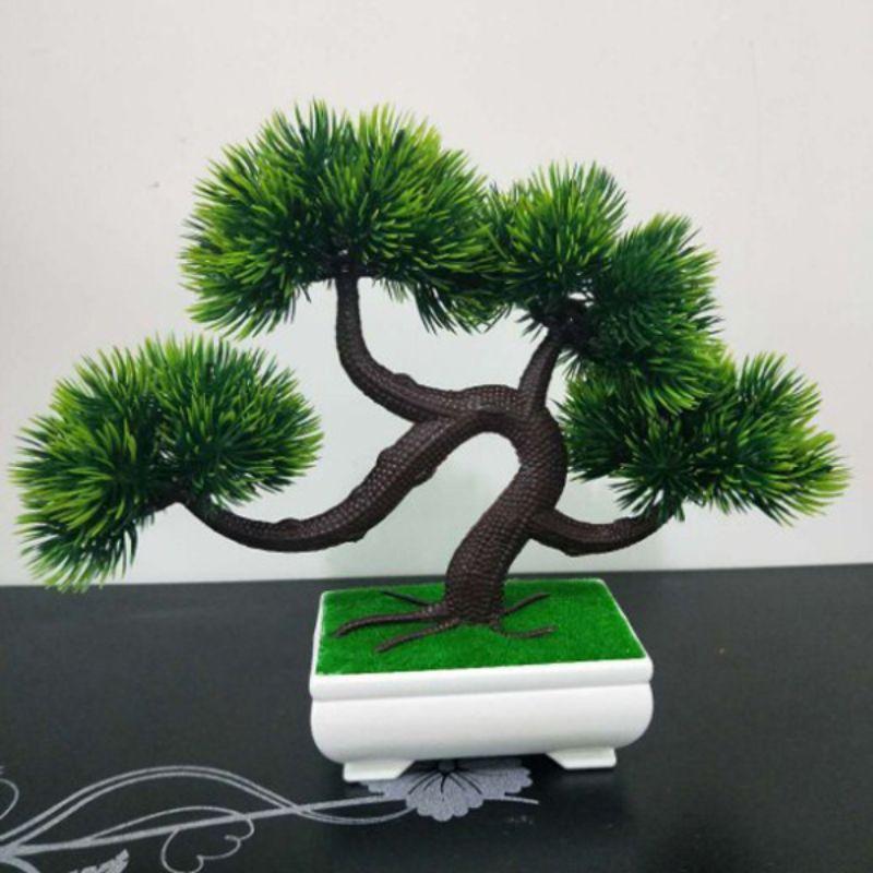 Detail Gambar Bunga Bonsai Plastik Nomer 13