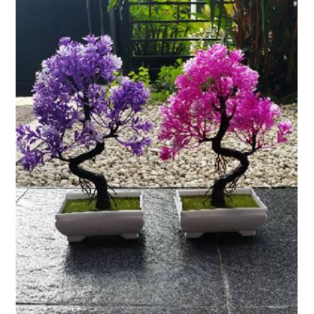 Detail Gambar Bunga Bonsai Plastik Nomer 4