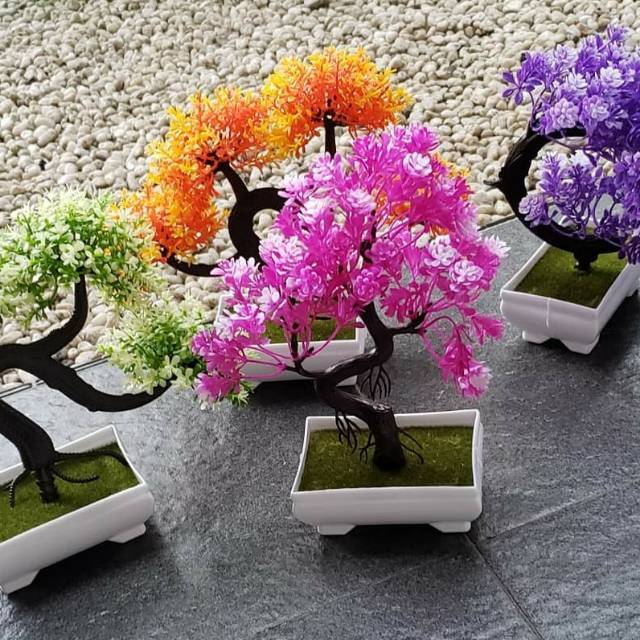 Detail Gambar Bunga Bonsai Plastik Nomer 10