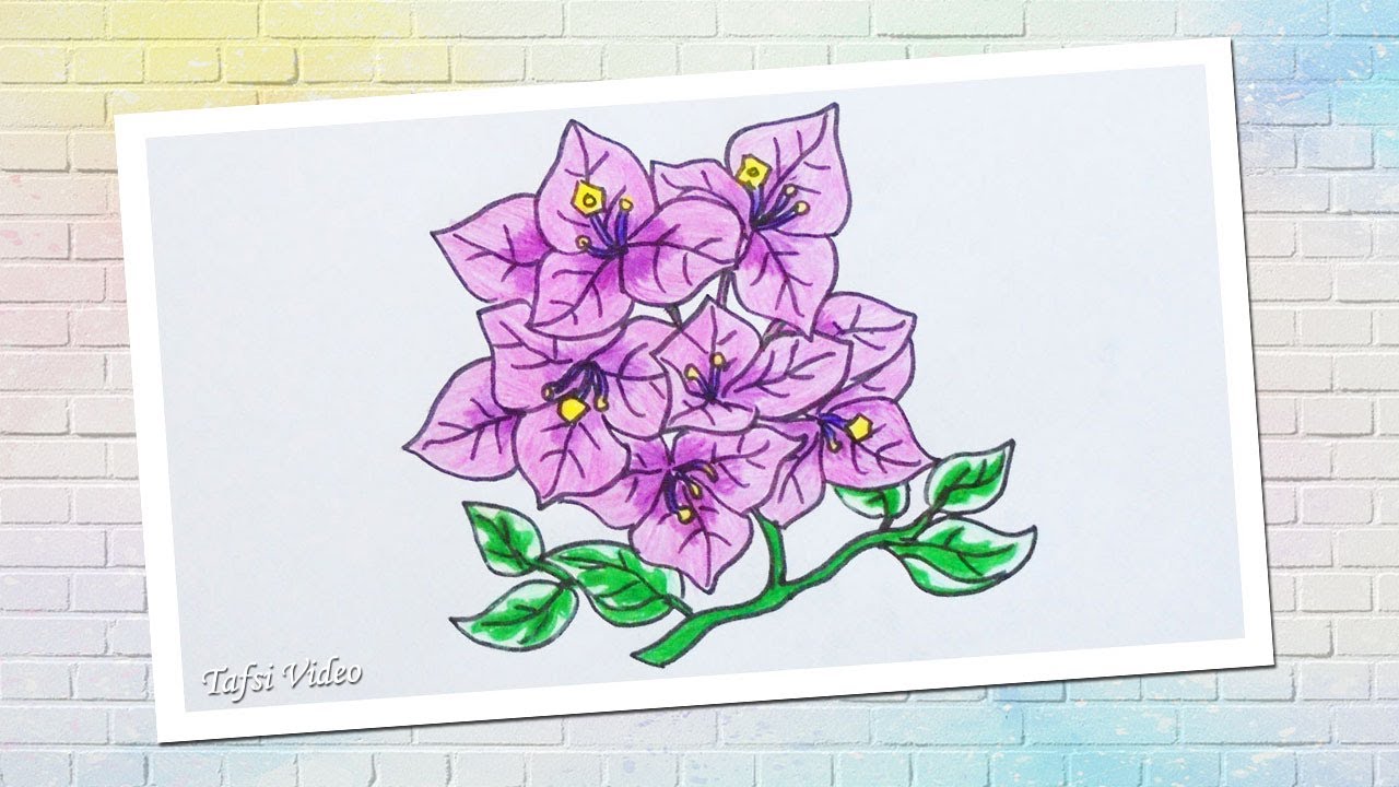 Gambar Bunga Bugenvil Lukisan - KibrisPDR