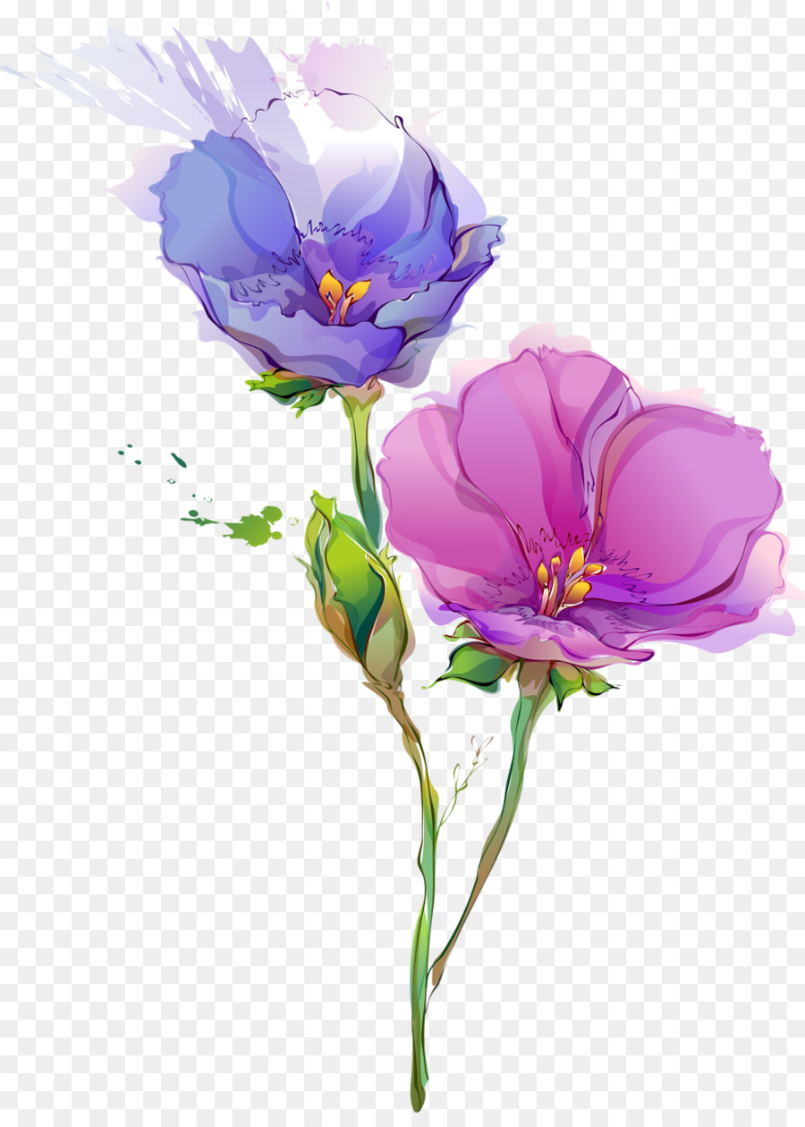 Detail Gambar Bunga Bugenvil Lukisan Nomer 14