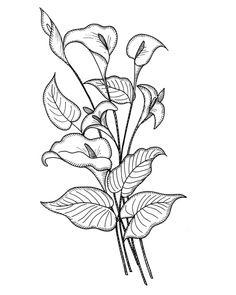 Detail Gambar Bunga Bugenvil Lukisan Nomer 42