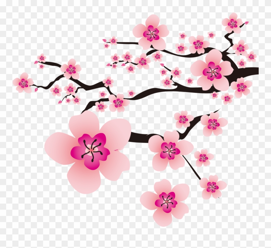Detail Gambar Bunga Bunga Sakura Nomer 29