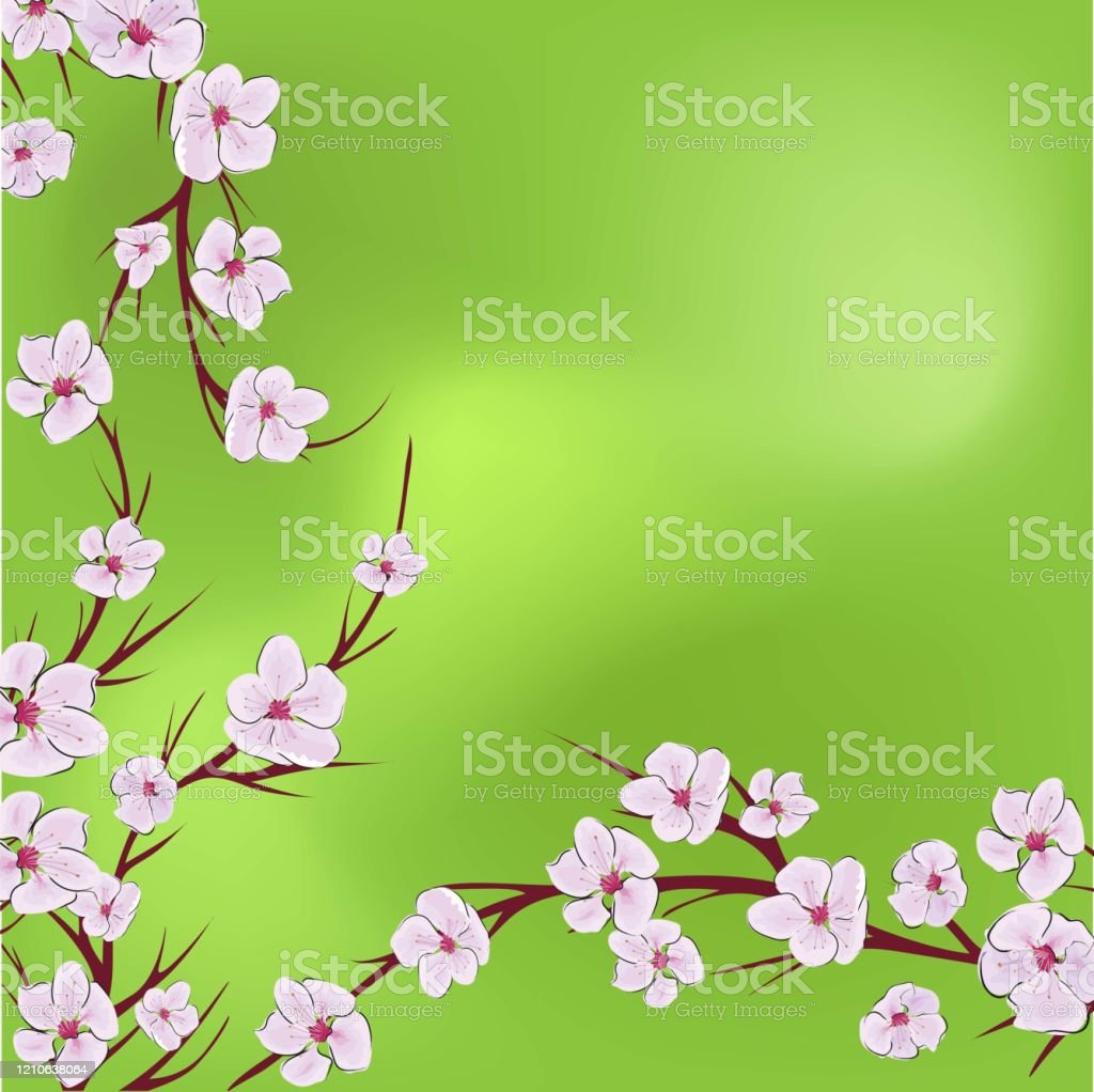 Detail Gambar Bunga Bunga Sakura Nomer 41