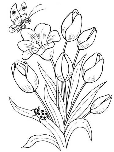 Detail Gambar Bunga Bunga Yang Mudah Digambar Nomer 26