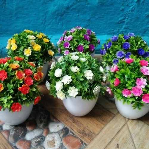 Download Gambar Bunga Cantik Dan Indah Terbaru Nomer 31