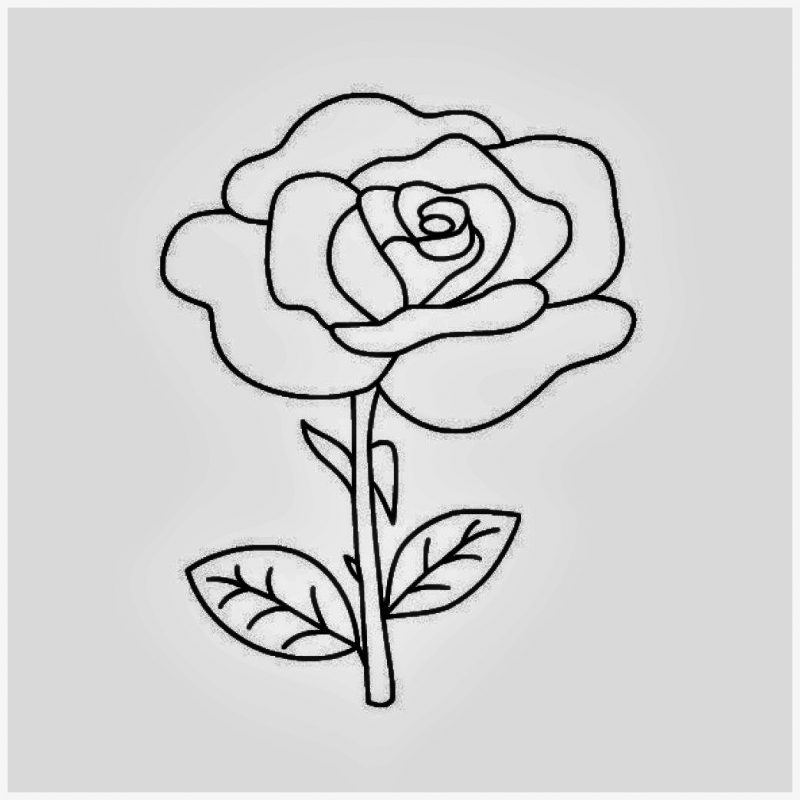 Gambar Bunga Cantik Dan Mudah Digambar - KibrisPDR