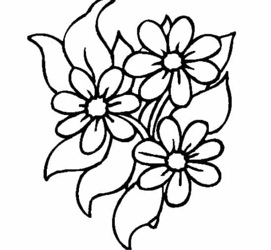 Detail Gambar Bunga Cantik Dan Mudah Digambar Nomer 14