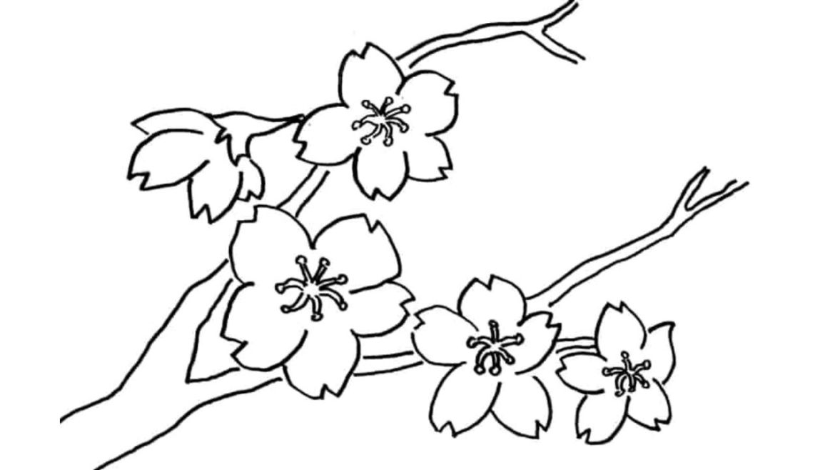 Detail Gambar Bunga Cantik Dan Mudah Digambar Nomer 18