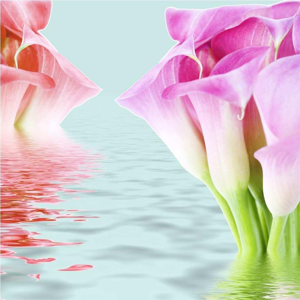 Detail Gambar Bunga Cantik Untuk Wallpaper Hp Nomer 43