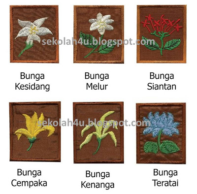 Detail Gambar Bunga Cempaka Tunas Puteri Nomer 10