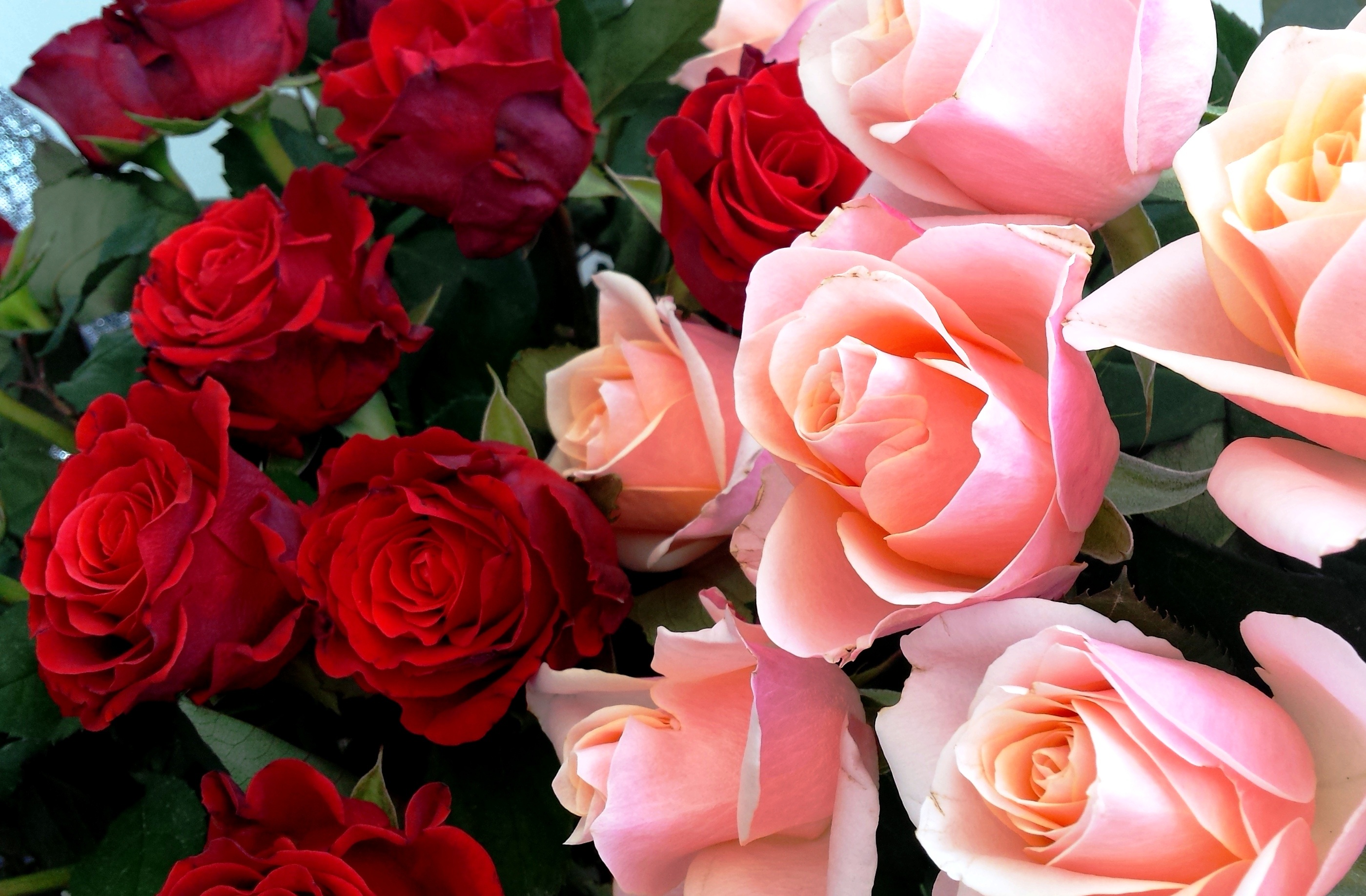 Detail Gambar Bunga Cinta Romantis Nomer 15