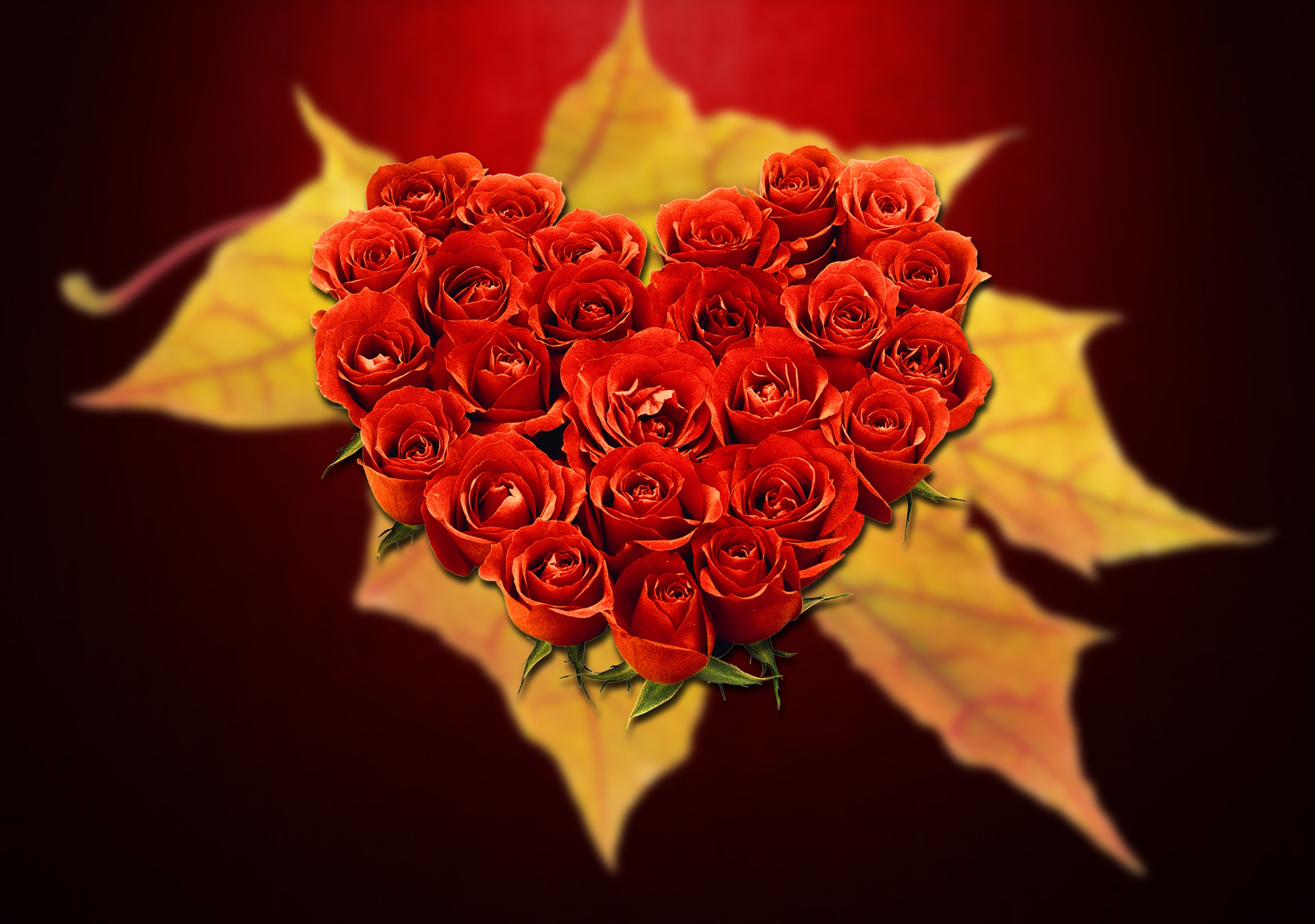 Detail Gambar Bunga Cinta Romantis Nomer 6