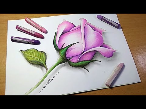 Detail Gambar Bunga Crayon Nomer 3