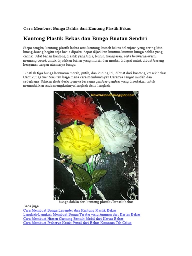 Detail Gambar Bunga Dahlia Dari Kantong Plastik Nomer 26