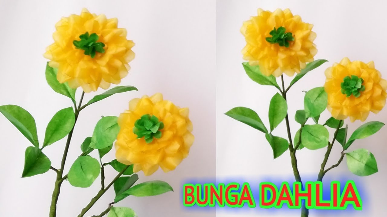 Detail Gambar Bunga Dahlia Dari Kantong Plastik Nomer 9