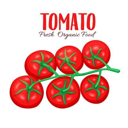 Detail Tomate Comic Nomer 20