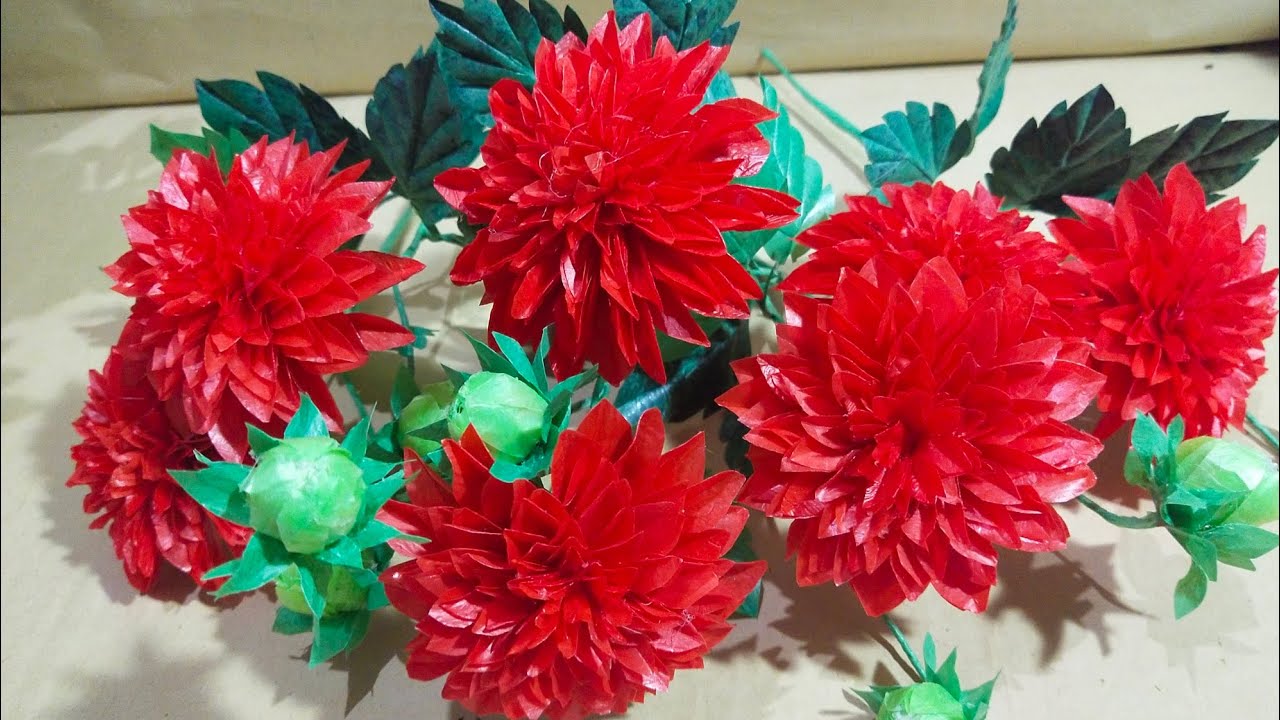 Detail Gambar Bunga Dahlia Merah Nomer 46