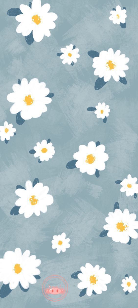 Detail Gambar Bunga Daisy Wallpaper Nomer 24