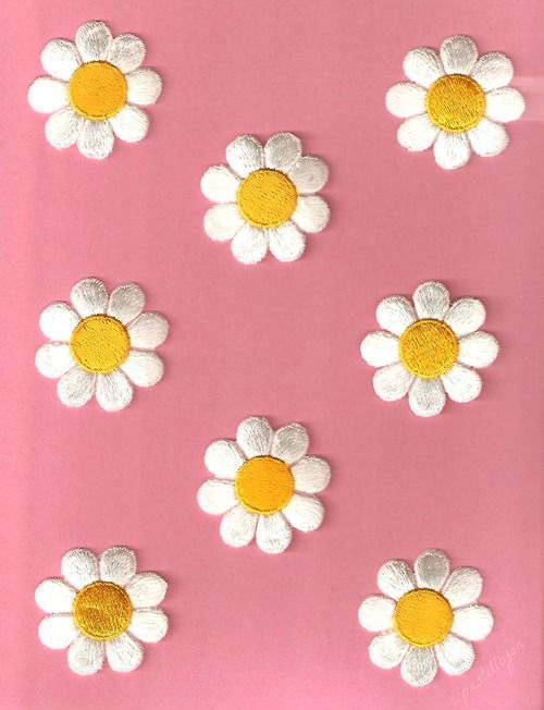 Detail Gambar Bunga Daisy Wallpaper Nomer 53