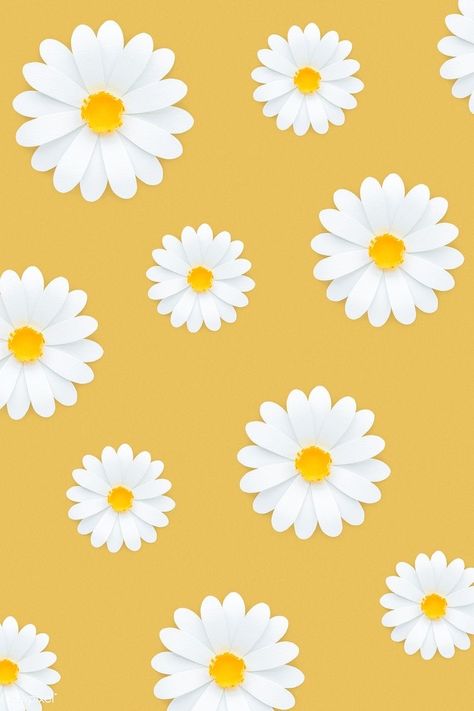 Detail Gambar Bunga Daisy Wallpaper Nomer 8