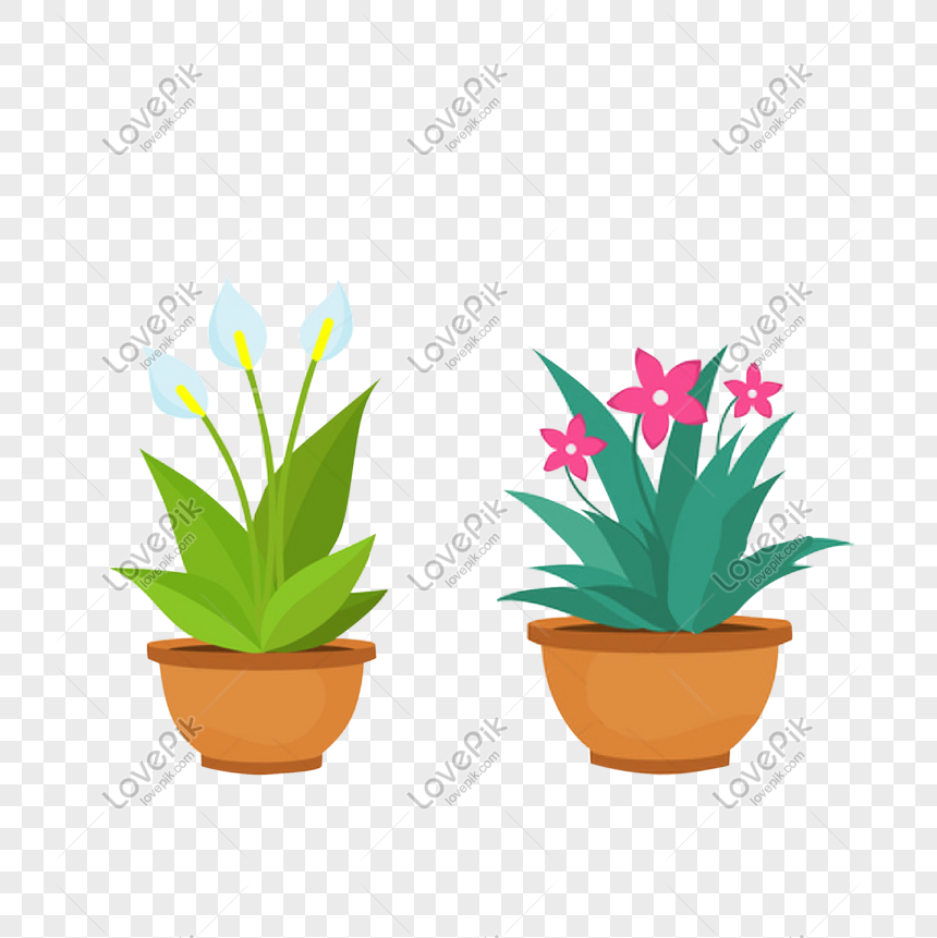 Detail Gambar Bunga Dalam Pot Kecil Nomer 41