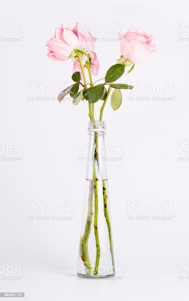 Detail Gambar Bunga Dalam Vas Nomer 35