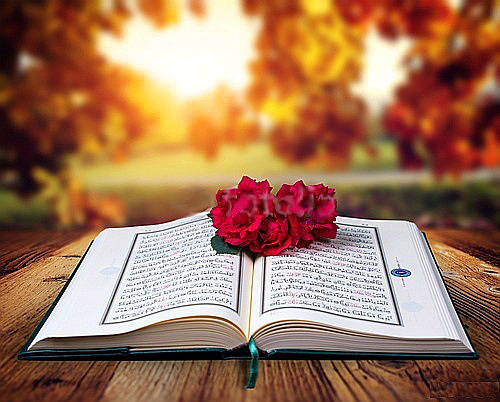 Detail Gambar Bunga Dan Al Quran Nomer 3