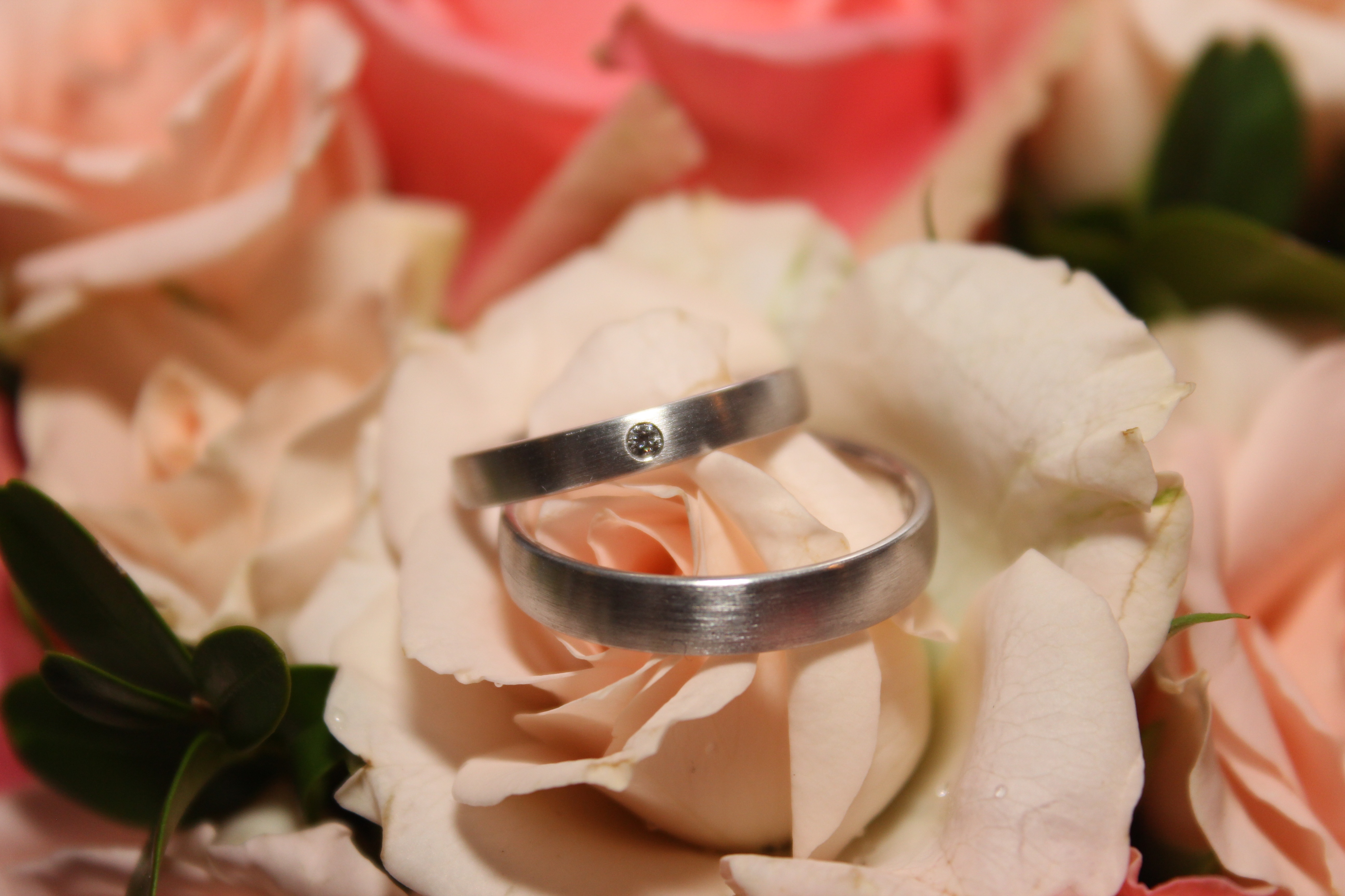 Detail Gambar Bunga Dan Cincin Nomer 21