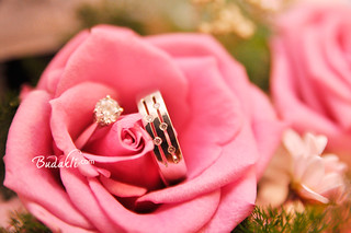 Detail Gambar Bunga Dan Cincin Nomer 28