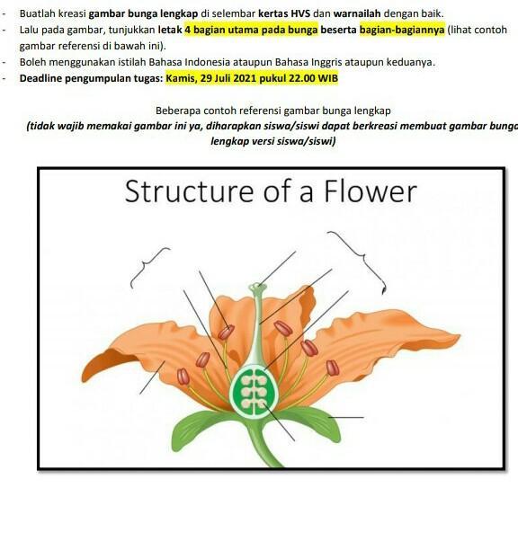 Detail Gambar Bunga Dan Keteranganya Nomer 46